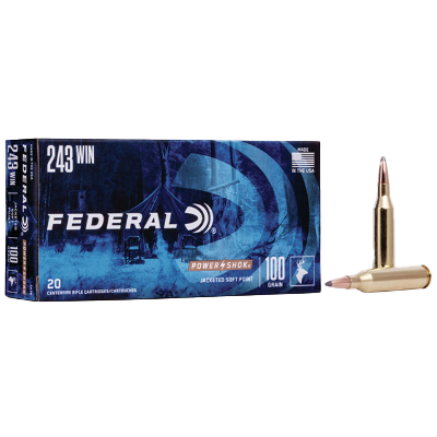 FEDERAL 243 WIN 100GR SP POWER-SHOK